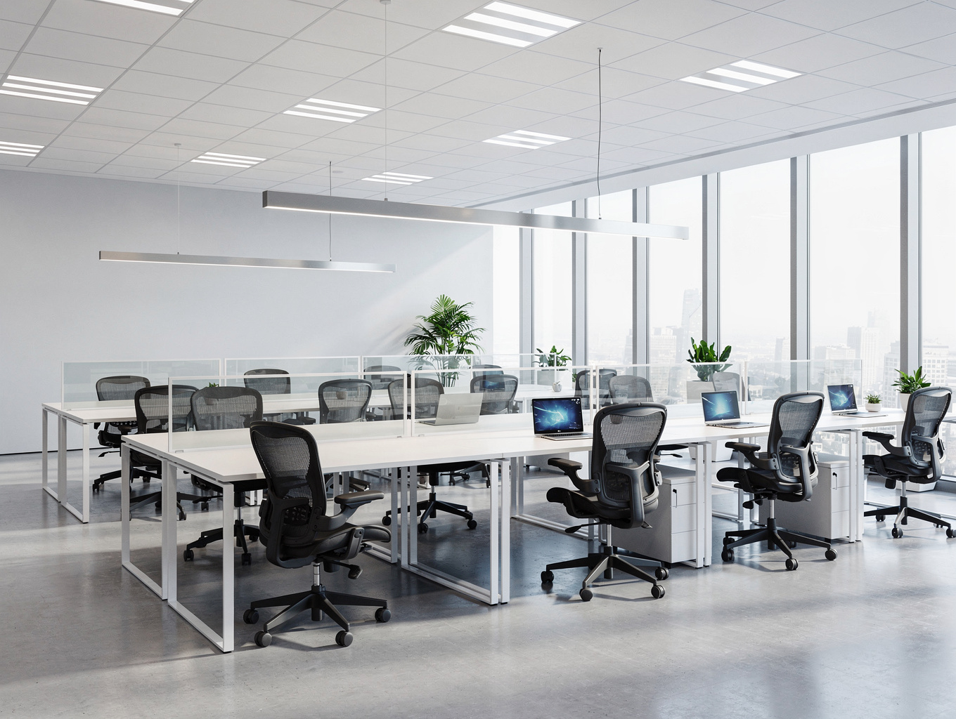 Sunlit modern office space featuring honey oak worktables and ergonomic task chairs